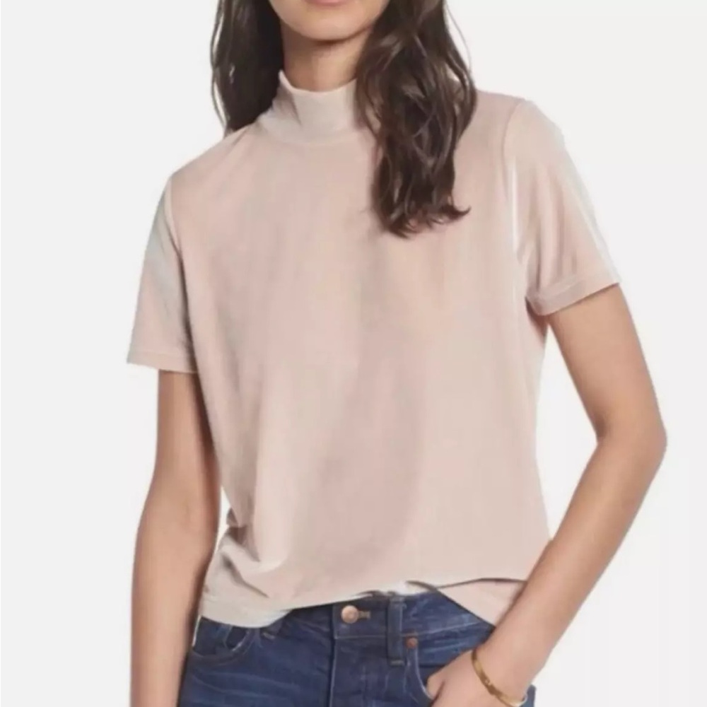 Madewell Velvet Mock Neck Tee in Avalon Pink - Size Small - Used